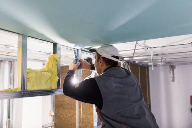 Best Insulation Maintenance and Repair in Bonneau Beach, SC