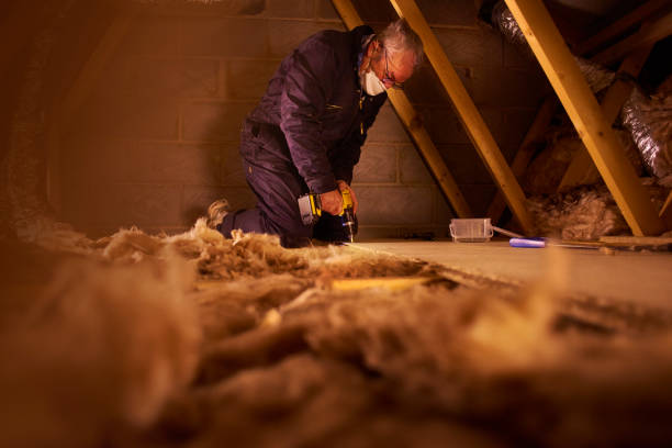 Types of Insulation We Offer in Bonneau Beach, SC